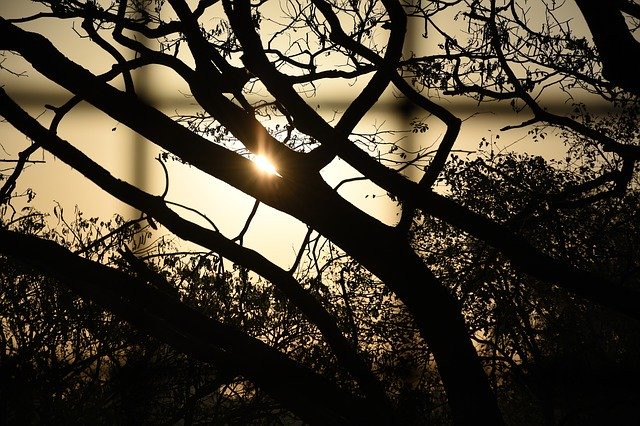 Gratis download Sunrise Morning Dawn - gratis foto of afbeelding om te bewerken met GIMP online afbeeldingseditor