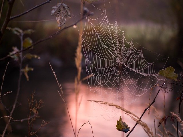 تنزيل Sunrise Nature Landscape مجانًا - صورة مجانية أو صورة لتحريرها باستخدام محرر الصور عبر الإنترنت GIMP