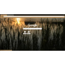 Sunrise on the pond  screen for extension Chrome web store in OffiDocs Chromium