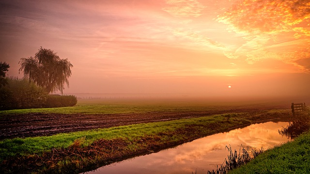 Free download sunrise pasture fog trees water free picture to be edited with GIMP free online image editor