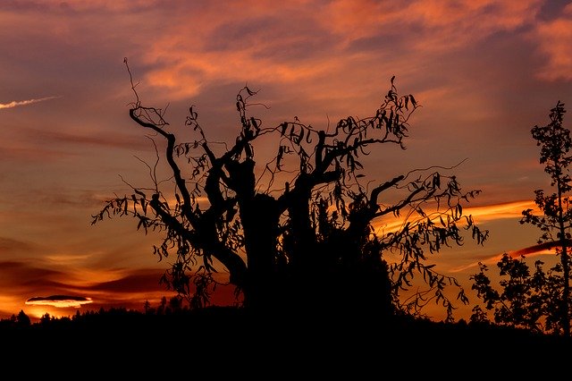 Descărcare gratuită Sunrise Sky Mood - fotografie sau imagini gratuite pentru a fi editate cu editorul de imagini online GIMP