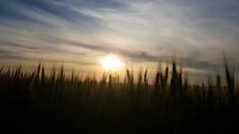 Free download Sunrise Sun Sunset free video to be edited with OpenShot online video editor