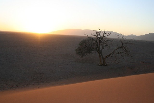 Free download Sunrise Tree Desert -  free photo or picture to be edited with GIMP online image editor