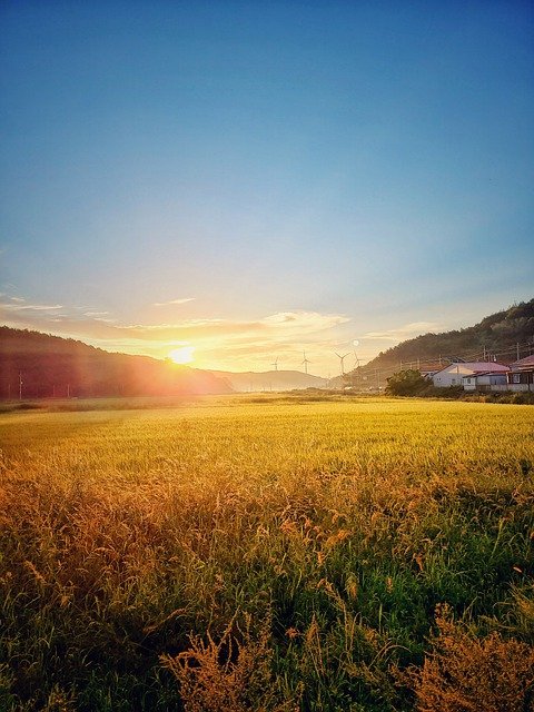 Free download sunrise wind power ch rice paddies free picture to be edited with GIMP free online image editor