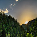 Sun Rising In The Big Forest At Cinego  screen for extension Chrome web store in OffiDocs Chromium