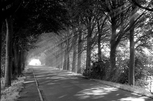 Ücretsiz indir Sun Road Atmosphere - GIMP çevrimiçi resim düzenleyici ile düzenlenecek ücretsiz fotoğraf veya resim