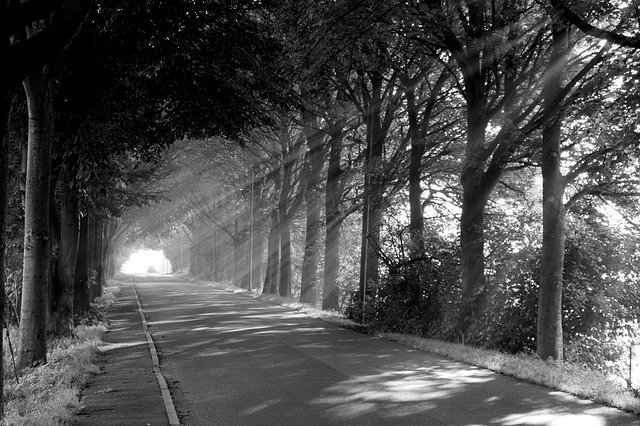 הורדה חינם Sun Road Atmosphere - תמונה או תמונה בחינם לעריכה עם עורך התמונות המקוון GIMP