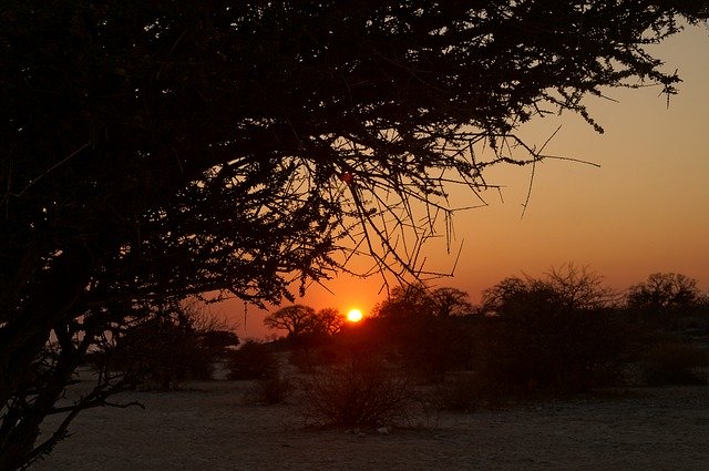Descarga gratuita Sunset Africa Nature - foto o imagen gratis y gratuita para editar con el editor de imágenes en línea GIMP