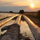 sunset and fields  screen for extension Chrome web store in OffiDocs Chromium