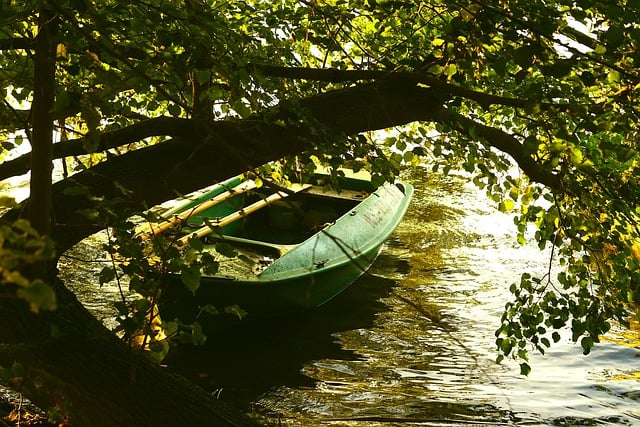 Free download sunset autumn tree boat free picture to be edited with GIMP free online image editor