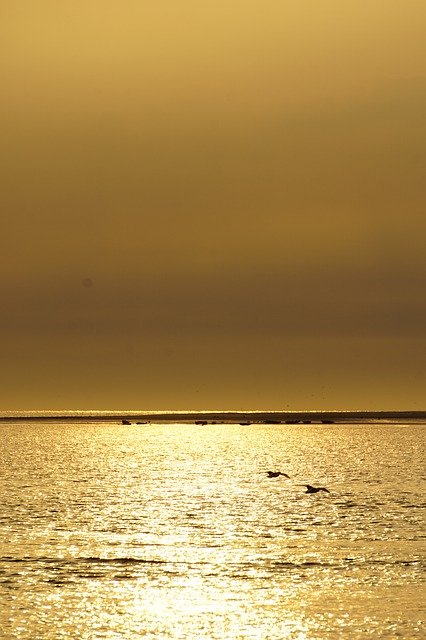 Template Photo Sunset Beach Borkum Water -  for OffiDocs