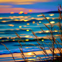 Sunset beach wallpaper  screen for extension Chrome web store in OffiDocs Chromium
