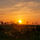 Sunset behind the trees  screen for extension Chrome web store in OffiDocs Chromium