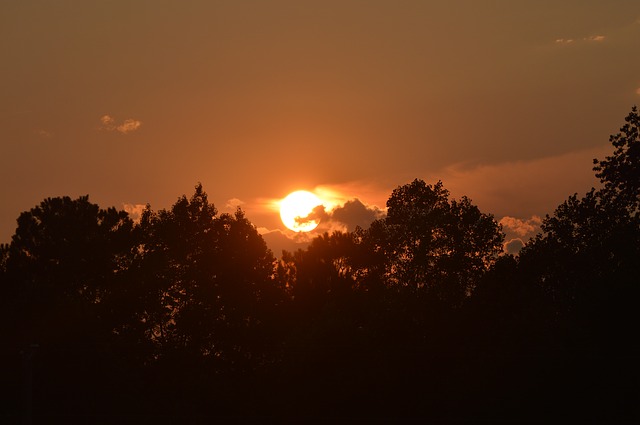 Free download sunset benson nc country trees free picture to be edited with GIMP free online image editor
