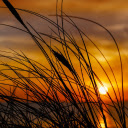 Sunset by the lake  screen for extension Chrome web store in OffiDocs Chromium