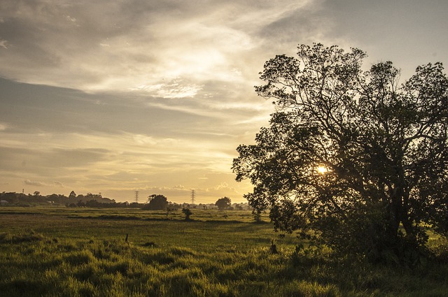 Free download sunset clouds outdoors nature free picture to be edited with GIMP free online image editor