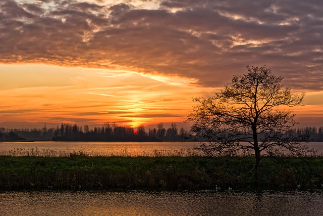 Free download sunset clouds tree silhouette dyke free picture to be edited with GIMP free online image editor