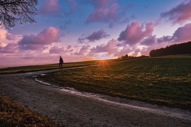 Scarica gratuitamente l'immagine gratuita del tramonto sulla strada sterrata del paradiso da modificare con l'editor di immagini online gratuito GIMP