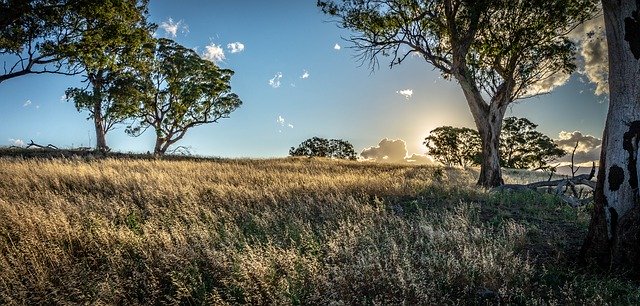 Gratis download Sunset Evening Landscape - gratis foto of afbeelding om te bewerken met GIMP online afbeeldingseditor