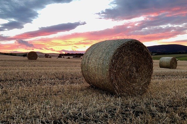 Free download Sunset Evening Sun Hay Bales -  free photo or picture to be edited with GIMP online image editor