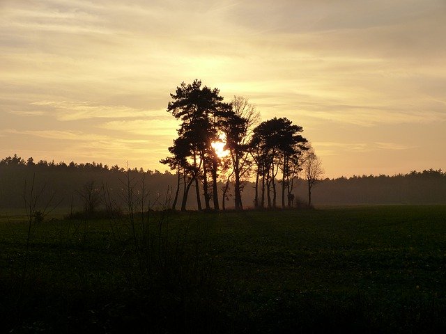 무료 다운로드 Sunset Field Trees - 무료 사진 또는 김프 온라인 이미지 편집기로 편집할 수 있는 사진