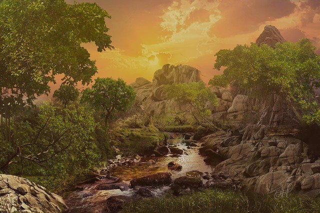 Free download Sunset Forest Nature -  free free photo or picture to be edited with GIMP online image editor