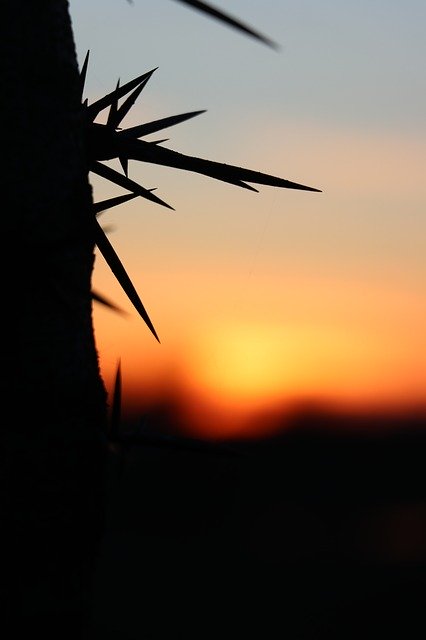 Free download Sunset In The Evening Red -  free photo or picture to be edited with GIMP online image editor