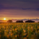 sunset in the fields  screen for extension Chrome web store in OffiDocs Chromium