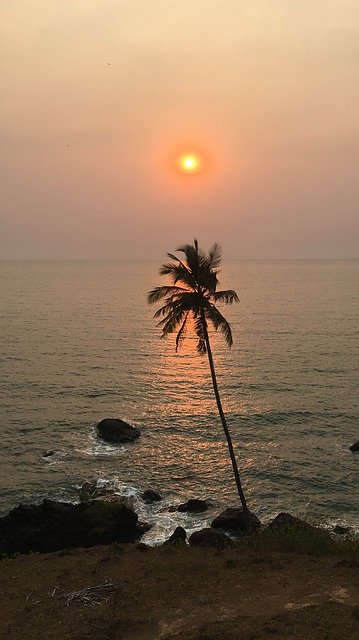 Gratis download Sunset Kokan Beach Coconut - gratis foto of afbeelding om te bewerken met GIMP online afbeeldingseditor