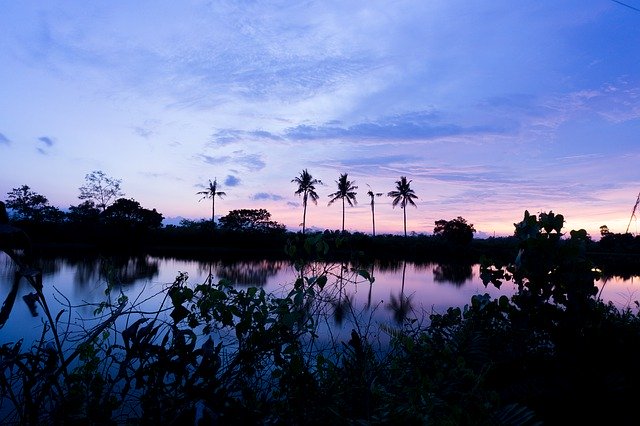 Безкоштовно завантажте Sunset Lake Coconut – безкоштовну безкоштовну фотографію чи зображення для редагування за допомогою онлайн-редактора зображень GIMP