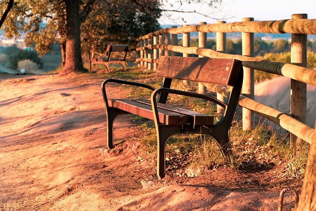 Free download sunset landscape trees seat break free picture to be edited with GIMP free online image editor