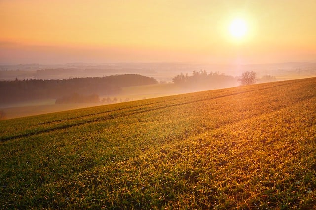 Free download sunset meadow landscape fog nature free picture to be edited with GIMP free online image editor