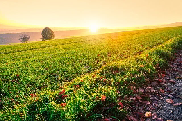 Free download sunset meadow landscape nature free picture to be edited with GIMP free online image editor
