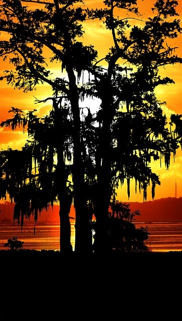 Free download Sunset Nature America -  free illustration to be edited with GIMP free online image editor