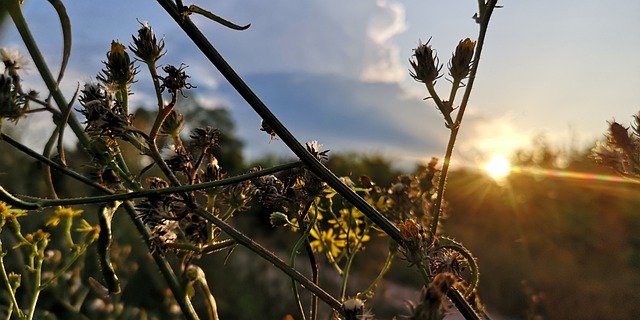 Download gratuito Sunset Nature Evening: foto o immagine gratuita da modificare con l'editor di immagini online GIMP