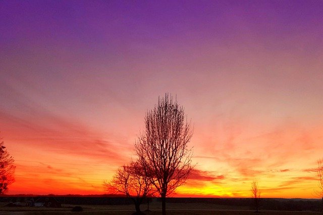 Free download sunset nature landscape sky tree free picture to be edited with GIMP free online image editor