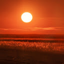 Sunset on the meadow  screen for extension Chrome web store in OffiDocs Chromium