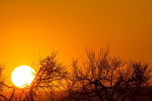 הורדה חינם של Sunset Orange Sky Treettops Against - תמונה או תמונה בחינם לעריכה עם עורך התמונות המקוון GIMP