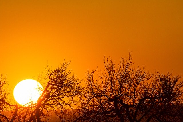 Free download Sunset Orange Sky Treetops Against -  free photo or picture to be edited with GIMP online image editor