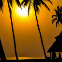 sunset over a vast beach lined with palm trees  screen for extension Chrome web store in OffiDocs Chromium