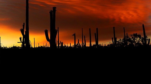 Free download Sunset Park American -  free illustration to be edited with GIMP free online image editor