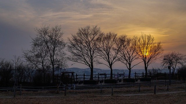 Free download sunset park glow trees sky park free picture to be edited with GIMP free online image editor