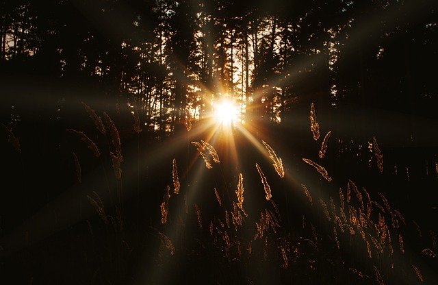 Kostenloser Download Sonnenuntergang Strahlen Naturlandschaft Kostenloses Bild, das mit dem kostenlosen Online-Bildeditor GIMP bearbeitet werden kann