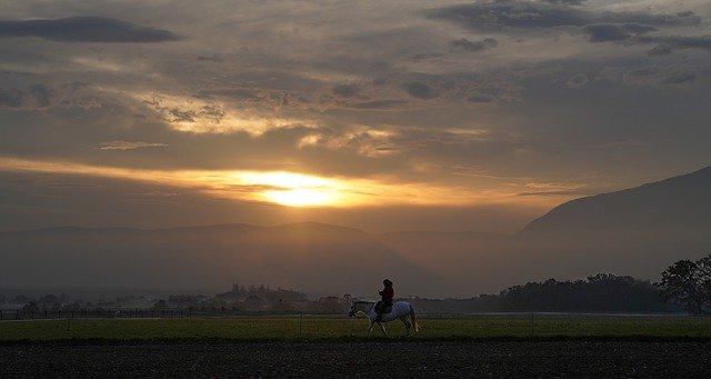 Free download sunset reiterin horse dusk nature free picture to be edited with GIMP free online image editor