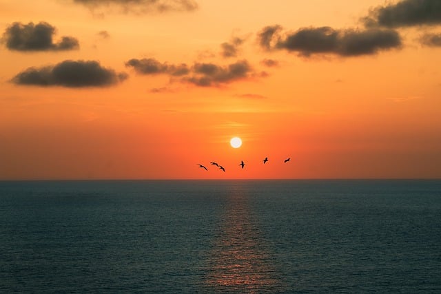 Free download sunset sea beach landscape sun free picture to be edited with GIMP free online image editor