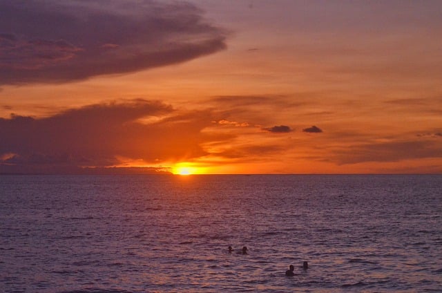 Free download sunset sea ocean swimming family free picture to be edited with GIMP free online image editor