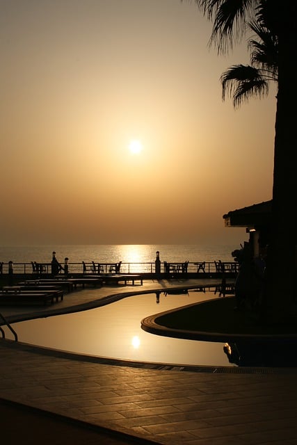 Free download sunset sea pool palm tree sun eve free picture to be edited with GIMP free online image editor