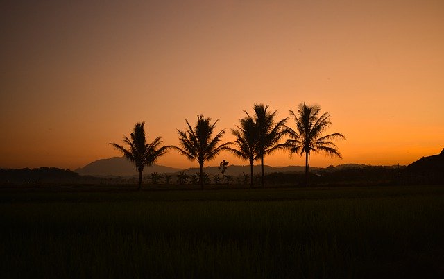 Download gratuito Sunset Silhouette Landscape: foto o immagine gratuita da modificare con l'editor di immagini online GIMP