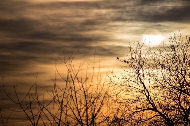 GIMP 온라인 이미지 편집기로 편집할 수 있는 Sunset Siluet Nature 무료 사진 템플릿 무료 다운로드