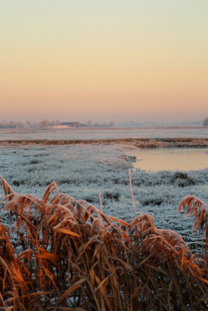 Free download sunset snow frozen field nature free picture to be edited with GIMP free online image editor